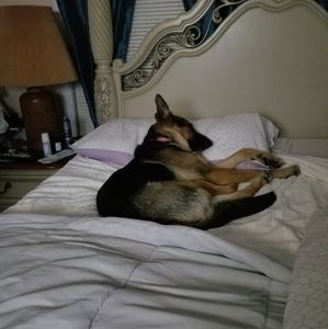 Meet your Posher, Sharon